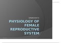 female reproductive system physiology