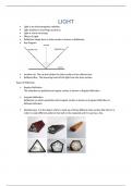 Light- Basics To Mass Success