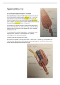 Samenvatting Fysiologie, ISBN: 9789036817752  Anatomie & Fysiologie