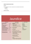 A comprehensive approach to Jaundice