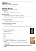 Uitgebreide samenvatting Kunstgeschiedenis - HAVO/VWO - 2022/2023