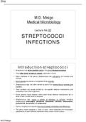 Streptococcus Bacteria
