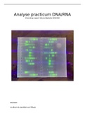 BGZ2022 - Analyse practicum verslag DNA/RNA