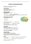 Uitgebreide Samenvatting  Hersenen En Gedrag (2020/2021) - BSc Psychologie