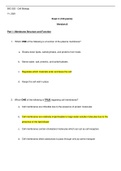 Arizona State University - BIO 353 - Cell Biology Exam 2 Version A (Latest 2021) Correct Study Guide, Download to Score A