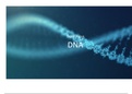 Biologie Havo DNA 