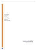 Verpleegplan-Verbeteradvies PLP-gevorderd