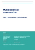 Beroepsproduct 1 Multidisciplinair Samenwerken (SIV)