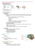 Samenvatting indeling structurele neuroanatomie
