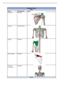 Complete Anatomie - Periode 3 - Hogeschool Leiden Fysiotherapie