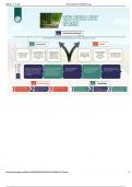 The Snake and The Mirror &lowbar; Mind Map&period;p