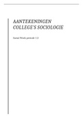 Social Work Hanze - samenvatting   begrippenlijst &  aantekeningen Sociologie 2020/2021