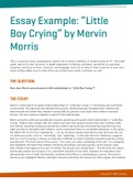 Essay Example 'Little Boy Crying' by Mervin Morris 