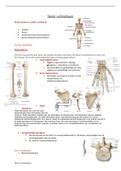 verbindingen van het skelet