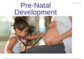 NURS 3632  Ch&lowbar;2&lowbar;Pre-natal&lowbar;development Study Guide