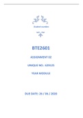 BTE2601 Assignment 02 (Passed With Distinction)