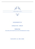 TMN3704 Assignment 04 (Teaching Mathematics in the Intermediate Phase)