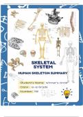 The Human Skeletal system Summary