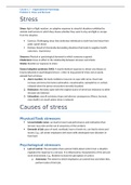 Block 1.7: Problem 6 Stress at Work and Burnout, English Summary