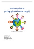 Scriptie pedagogiek en maatschappij   Samenlevingen, ISBN: 9789001795580