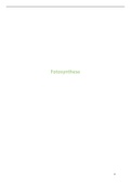 Biologie Leistungskurs: Fotosynthese  (Biologieabitur - 2021)