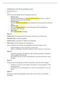 Samenvatting Principles of Cognitive Neuroscience&comma; ISBN&colon; 9780878935734  Introductie Psychobiologie &lpar;5102INPS6Y&rpar;