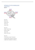 Samenvatting Principles of Cognitive Neuroscience, ISBN: 9780878935734  Introductie Psychobiologie (5102INPS6Y)
