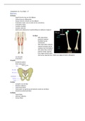 Tentamen (uitwerkingen) Anatomie Blok 1.3 Trail Guide to the Body 