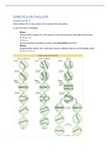Samenvatting Introduction to Genetic Analysis, ISBN: 9781429276344  Genetica En Evolutie (5102GEEV6Y)