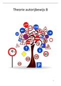 Samenvatting  Auto theorie inzicht en kennis examen vragen &plus; antwoorden 