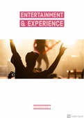 Samenvatting entertainment & experience 2MEB