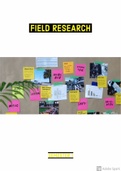Kwalitatief onderzoek - Field research (2MEB)