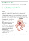 NUR 418 - MATERNITY- STUDY GUIDE, with rationales correctly explained.