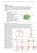 Biologie: Nectar, VWO 4, hoofdstuk 4 Voortplanting