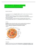 ATI TEAS 6 - Science &lpar;Human Anatomy and Physiology&rpar;
