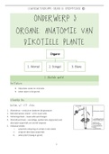 Lewenswetenskappe Gr. 10 Opsommings - Anatomie van dikotiele plante