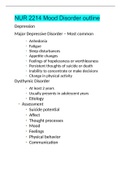 NUR 2214 Mood Disorder outline