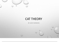 CAT theory 