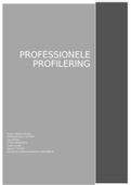 Professionele profilering