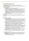 Beco samenvatting H21