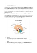 Class notes Human Anatomy & Physiology l Lab (ZOOL2011)