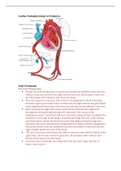 Nursing 54A: Cardiac Pathophysiology in Pediatrics. Complete Study Guide. Latest 2021.
