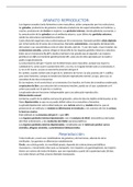 SISTEMA REPRODUCTOR &lpar;FISIOLOGIA MEDICA&rpar;