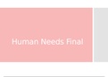 NUR 3316     Human Needs Final Guide  Latest Version 2021
