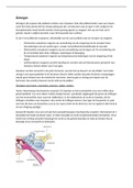 Samenvatting biologie - Zintuigen (VWO 6) 