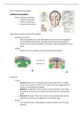 Samenvatting TAB 1.1. Anatomie: zenuwstelsel