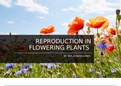 Reproduction in flowering plants IEB Life Sciences 