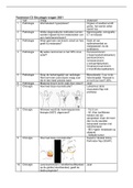Testvision C2 vragen 2021 Oncologie