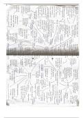 Two summary mindmaps for the Arguments from Reason topic of Philosophy from OCR Religious Studies