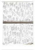 Two summary mindmaps from the Problem of Evil topic from Philosophy from OCR Religious Studies
